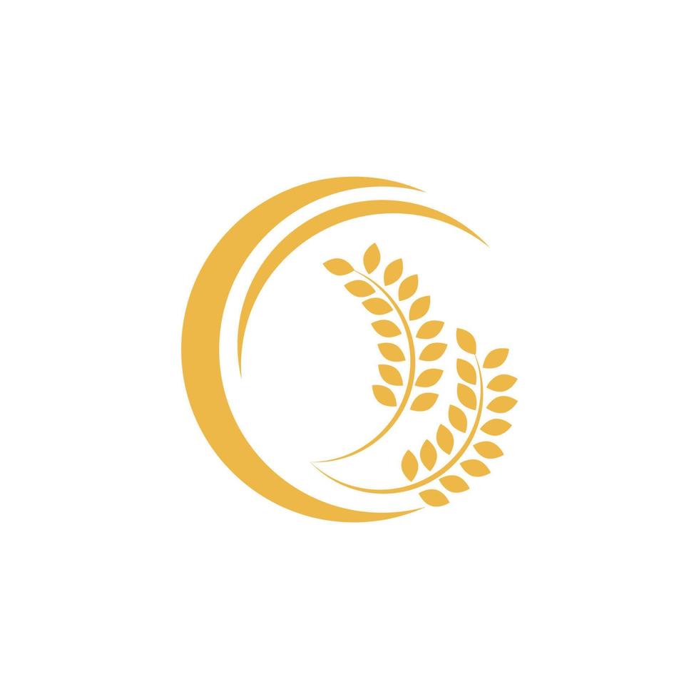 Agriculture wheat vector