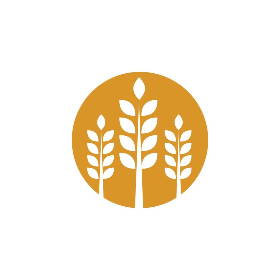 vector de trigo de agricultura