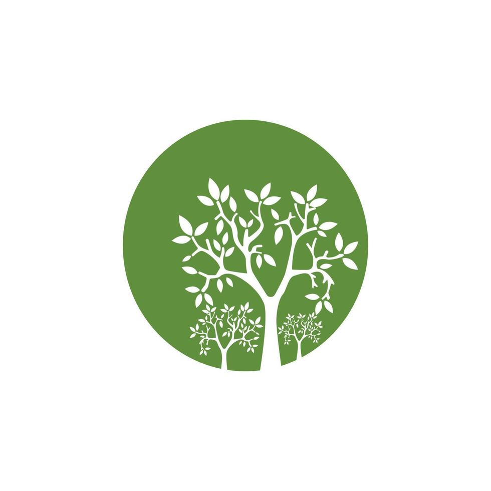 vector de plantilla de logotipo de árbol genealógico