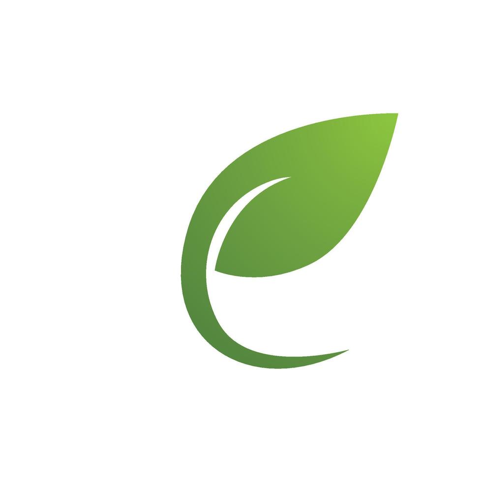 logotipos de la ecología de la hoja del árbol verde vector