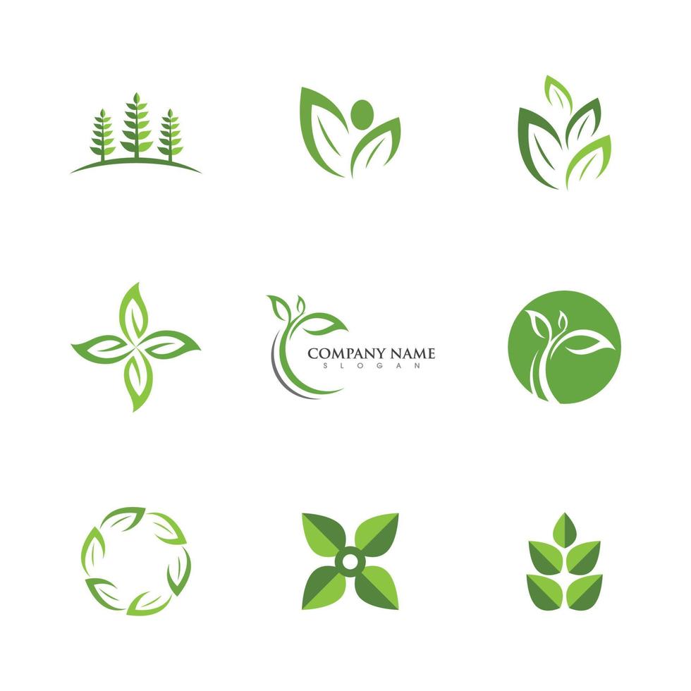 logotipos de la ecología de la hoja del árbol verde vector