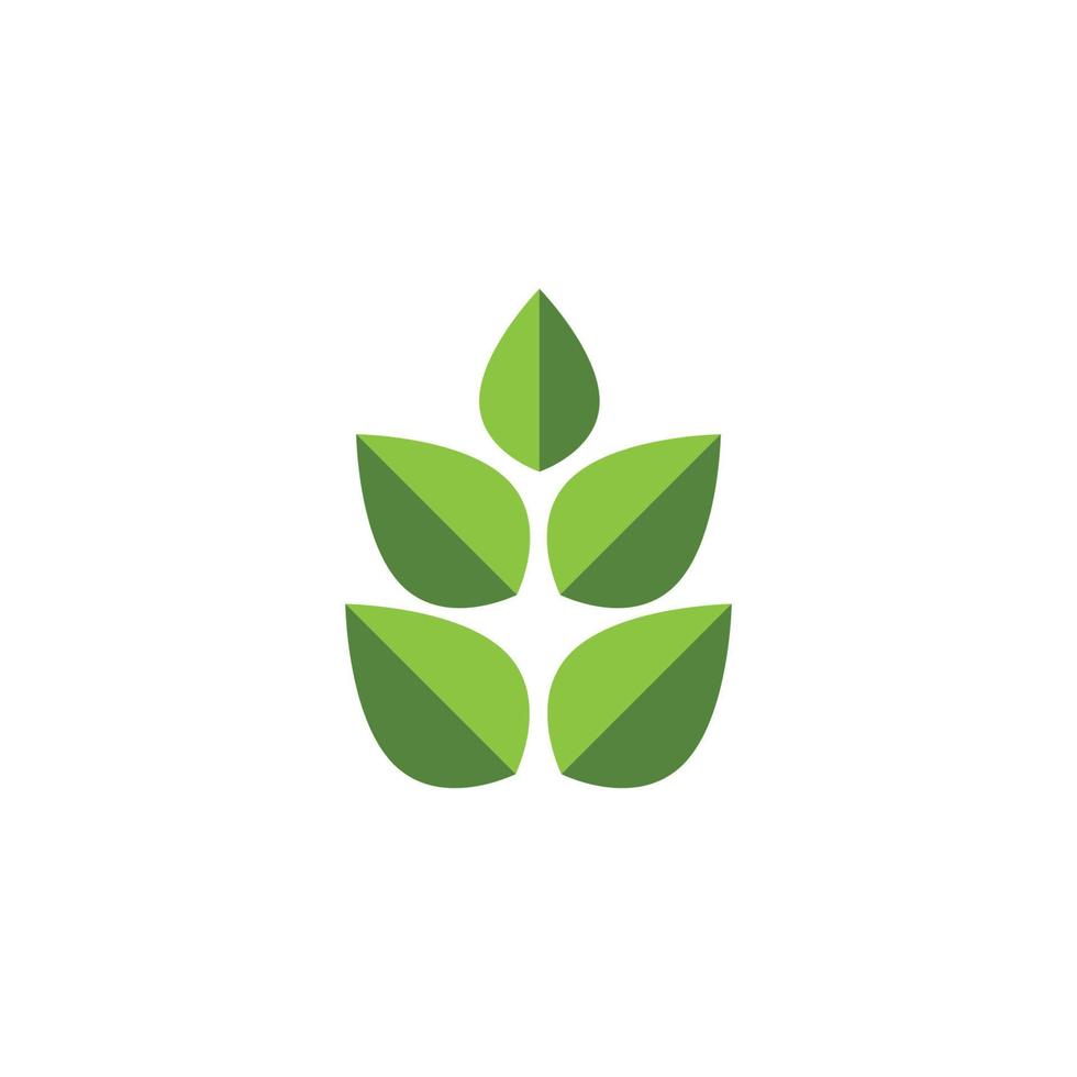 logotipos de la ecología de la hoja del árbol verde vector