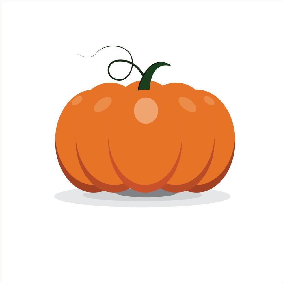 Pumpkins seamless vector isolated on a white background.