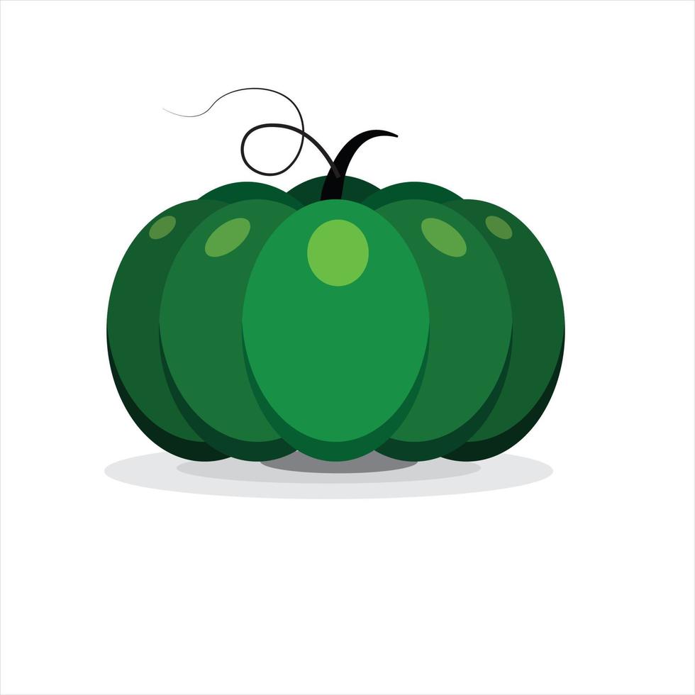 calabaza kabocha, calabaza verde japonesa con fondo blanco. aislado, vectorial. vector