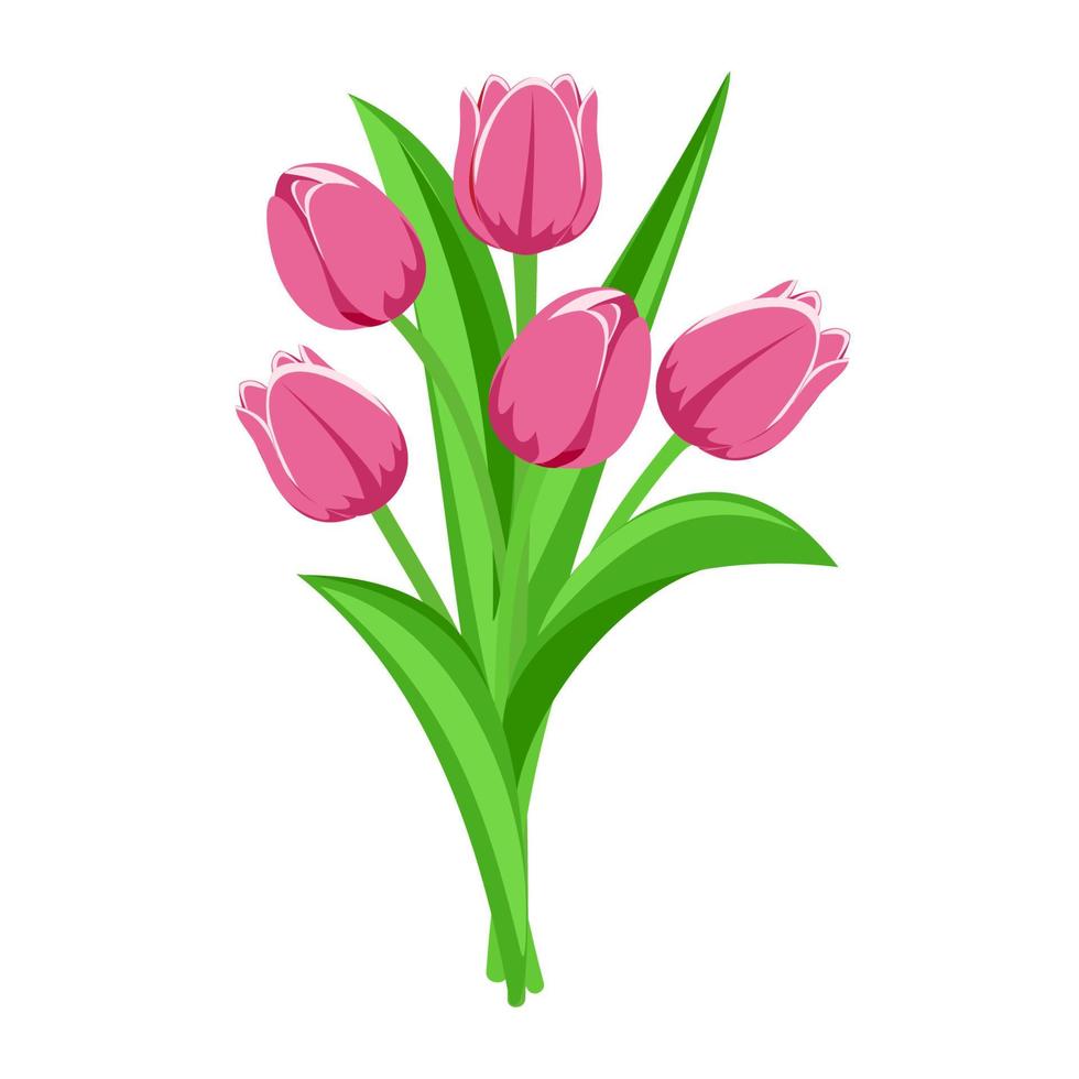 Bouquet of pink tulips. Vector illustration.