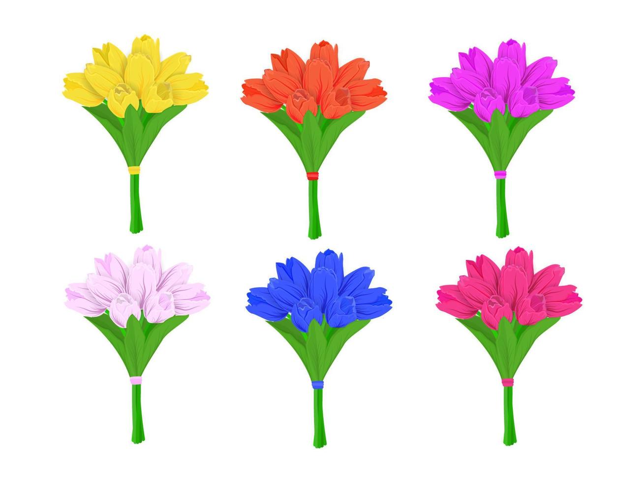 Ramos de flores de tulipanes de primavera aislado sobre fondo blanco. vector