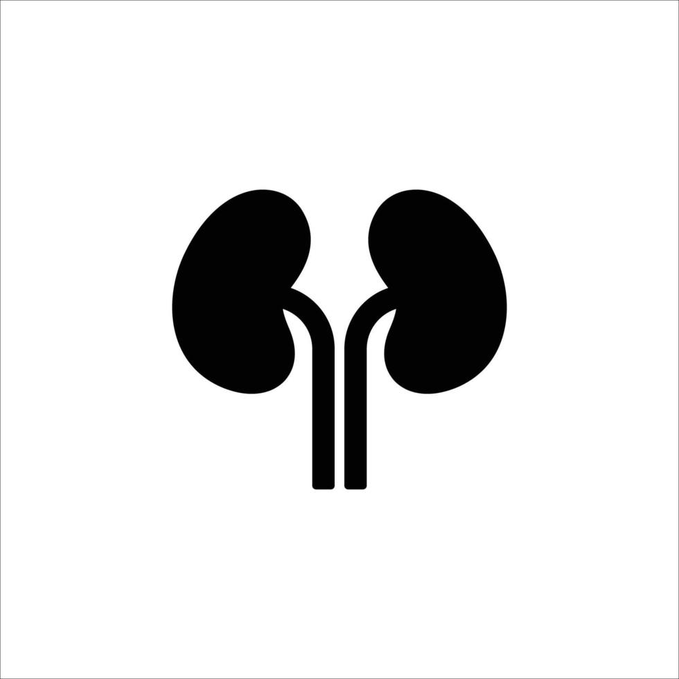 kidneys icon. solid icon vector