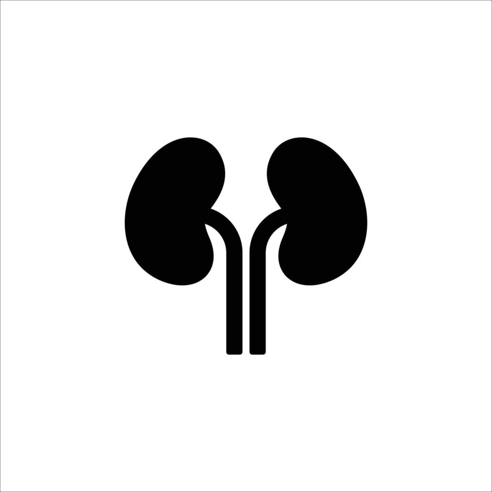 kidneys icon. solid icon vector