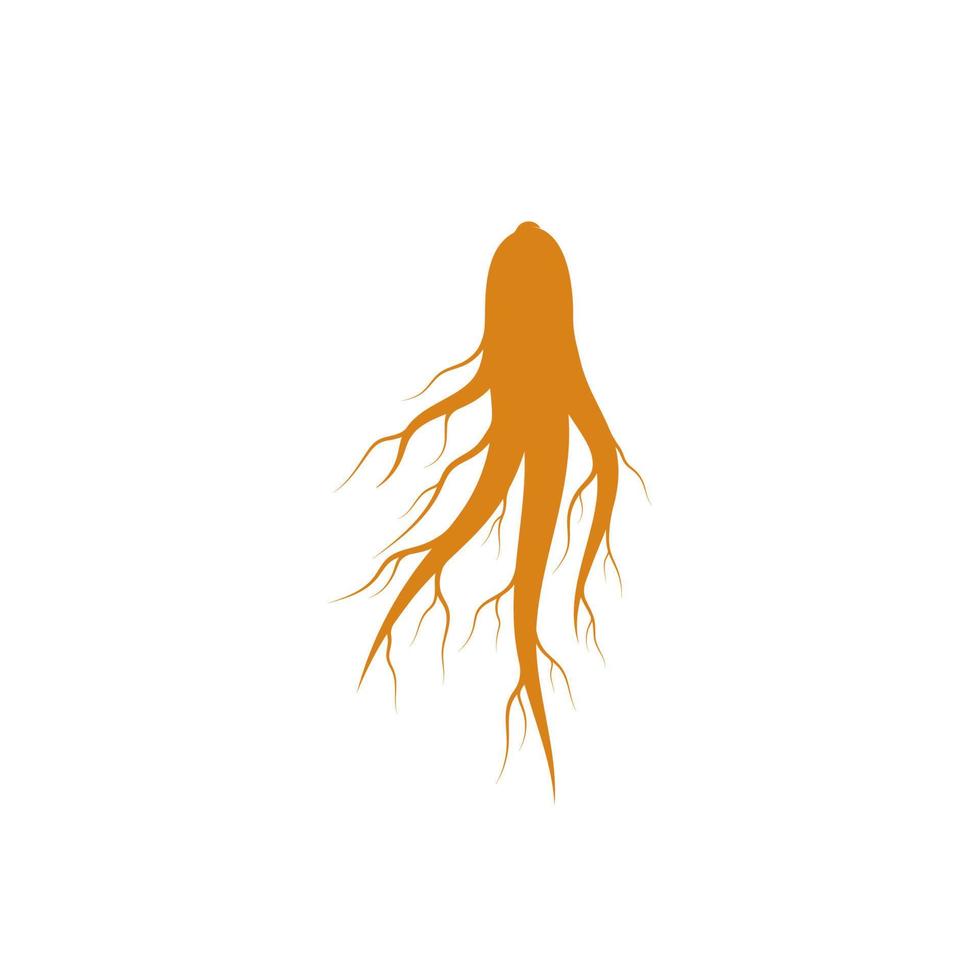 conjunto de logotipo de ginseng para icono de ilustración de medicina herbaria vector