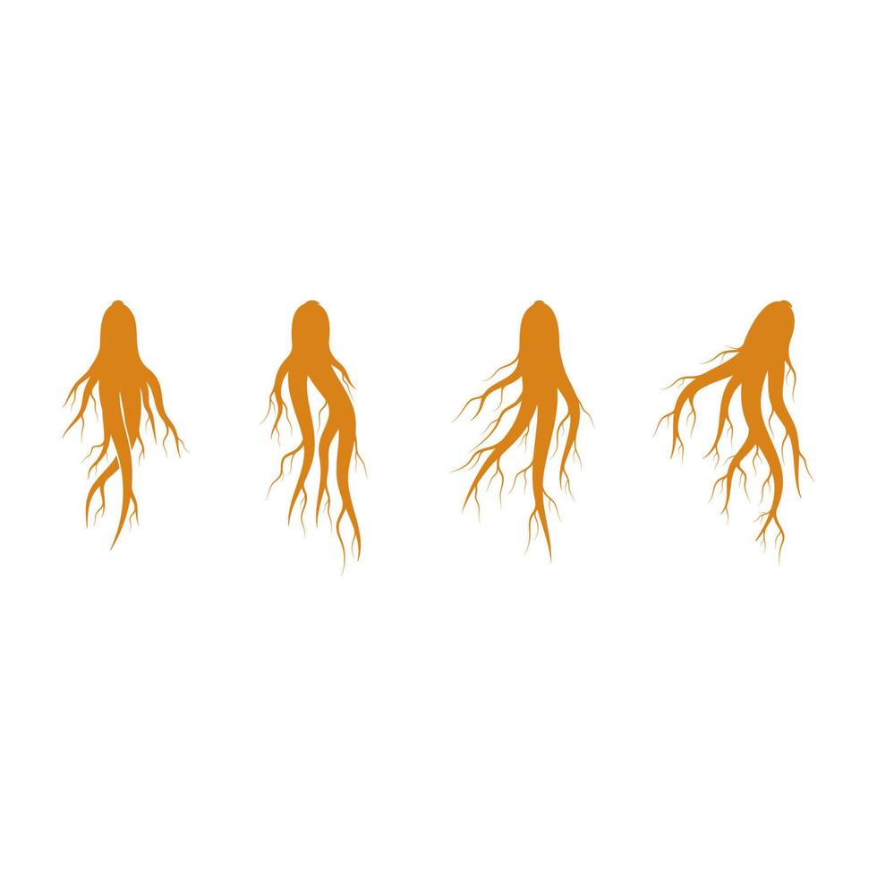 conjunto de logotipo de ginseng para icono de ilustración de medicina herbaria vector