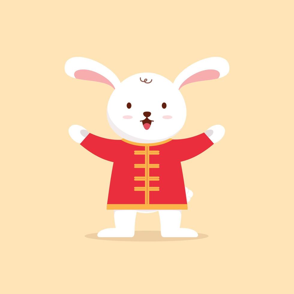 Cute Rabbit, year of rabbit chinese new year vector