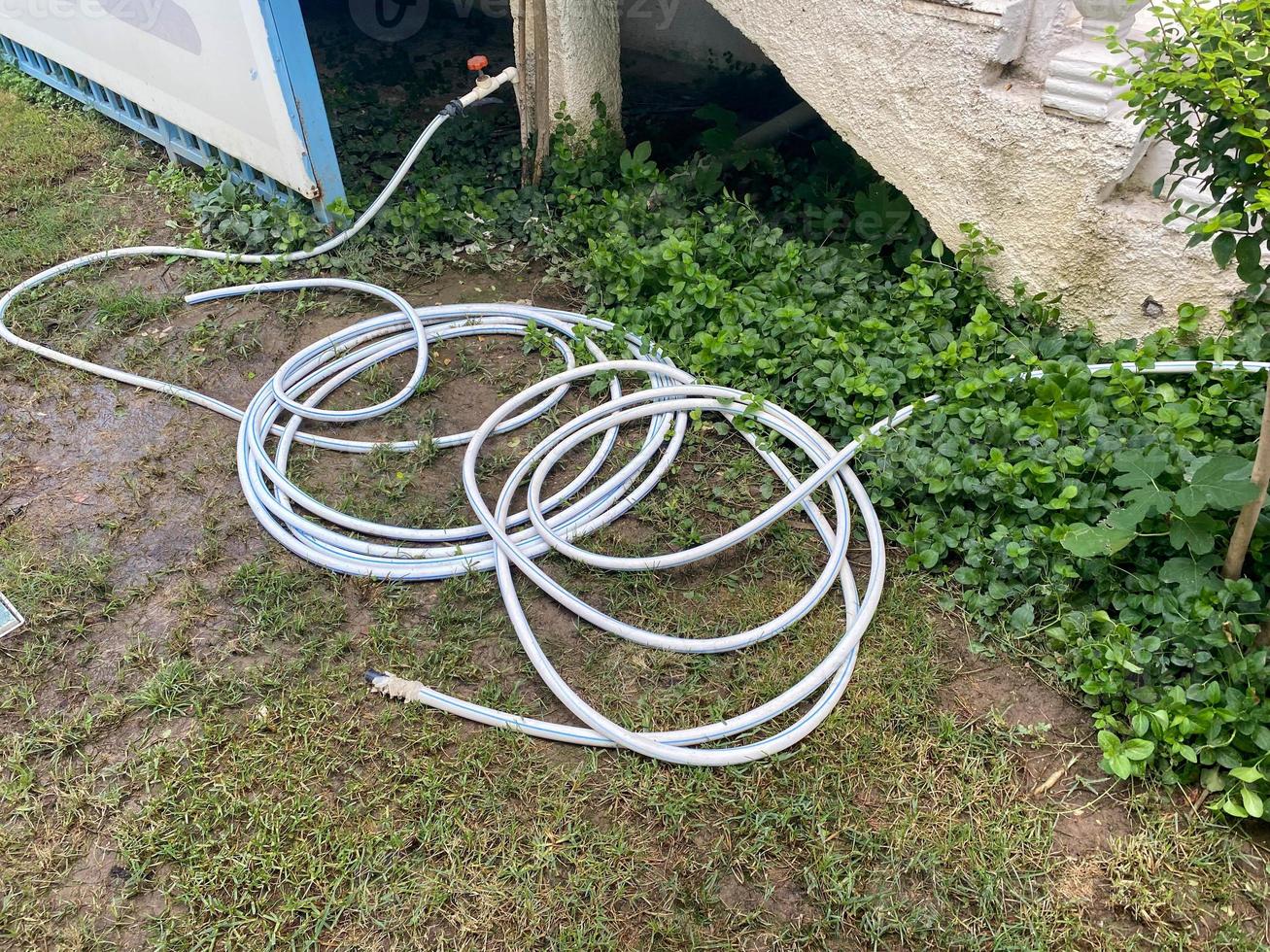 A flexible rubber hose for watering plants lies rolled up on the green grass photo