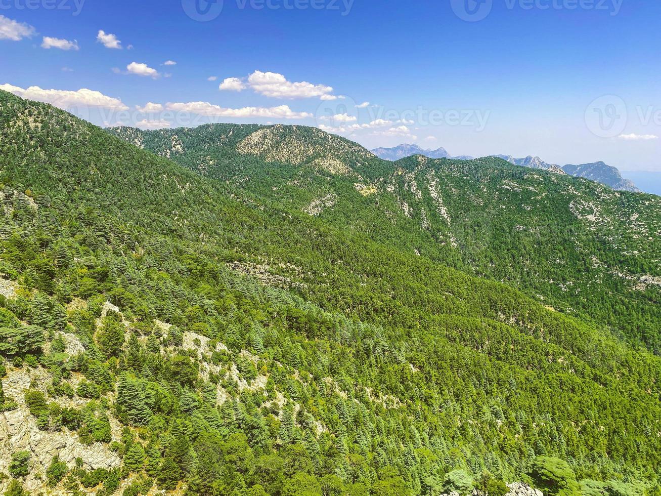 high mountains in a hot, tropical country. mountain with green bushes and herbs. plants grow on high mountains, a green carpet of herbs photo