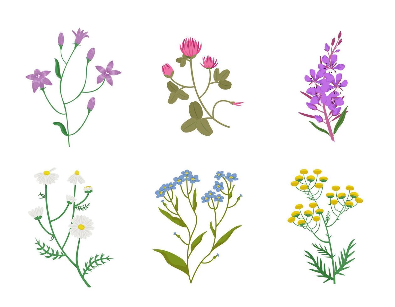 Set of different wildflowers. Beautiful flower twigs in cartoon style. vector