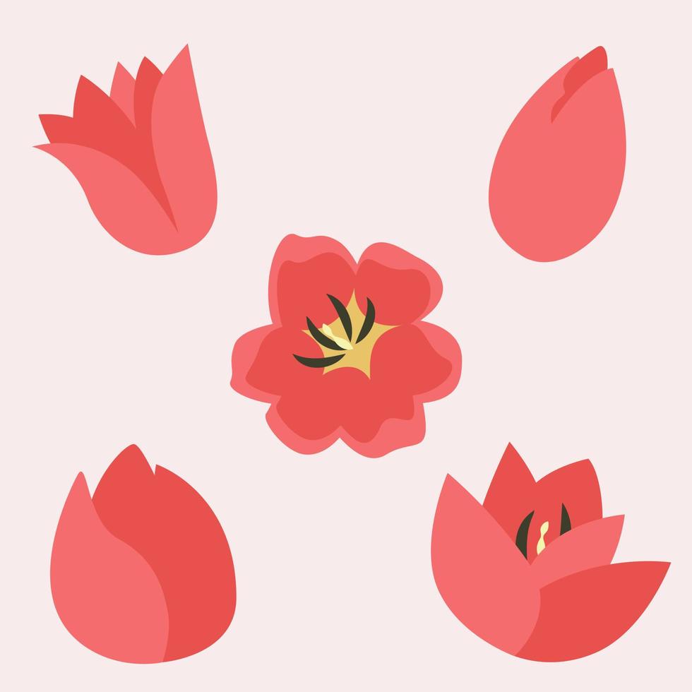 Set of tulip heads. Beautiful garden flowers in flat style. vector