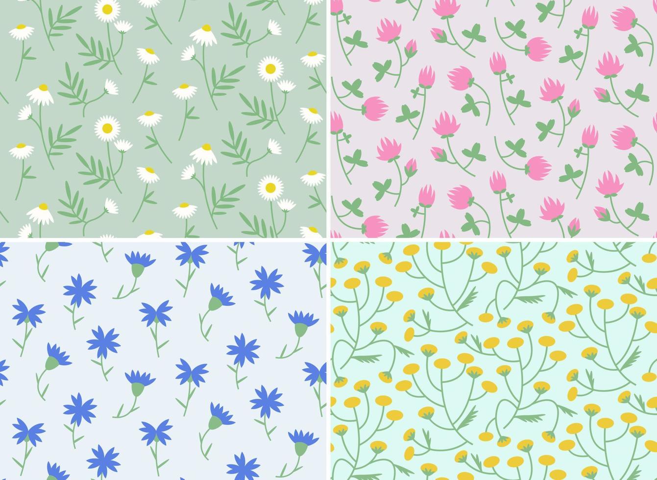 Seamless patterns with different wildflowers. Nature textures in flat style. vector