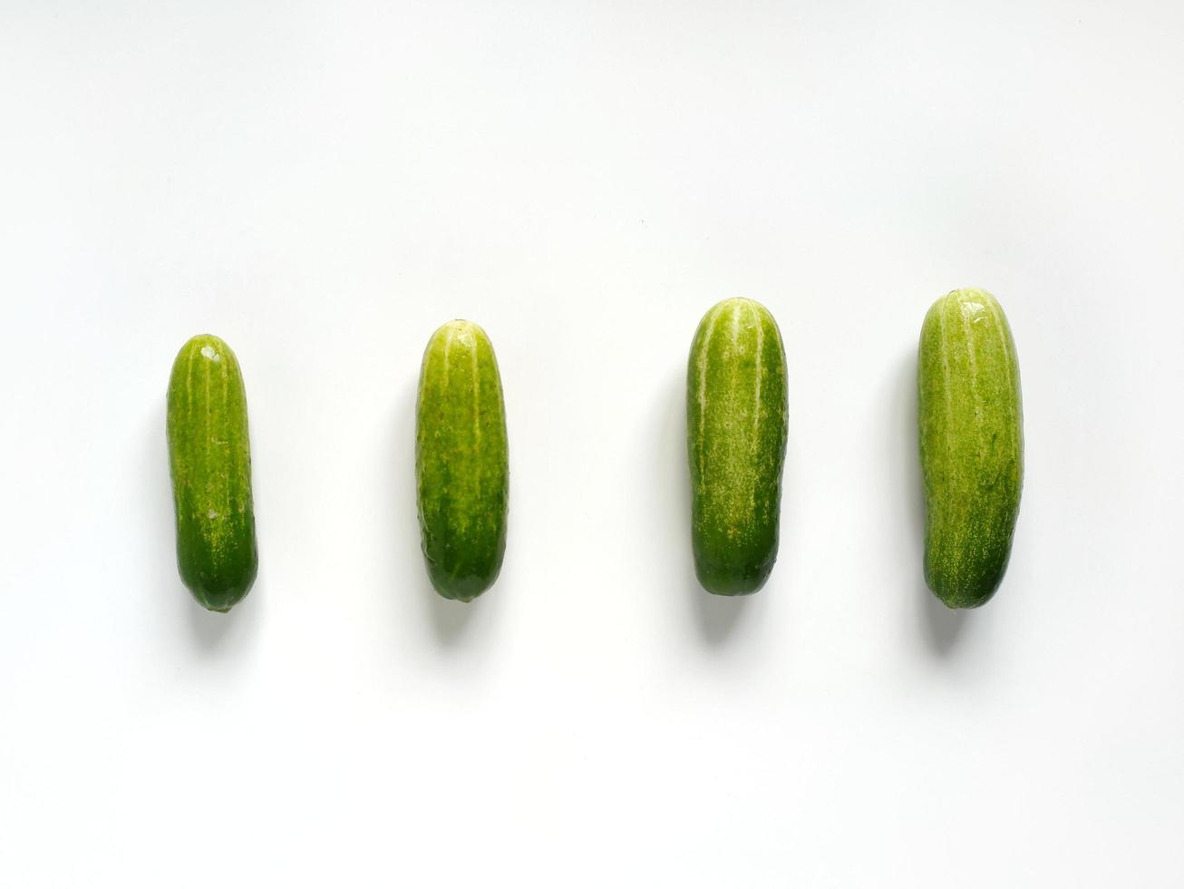 Four cucumbers from small to big in a row in white background photo