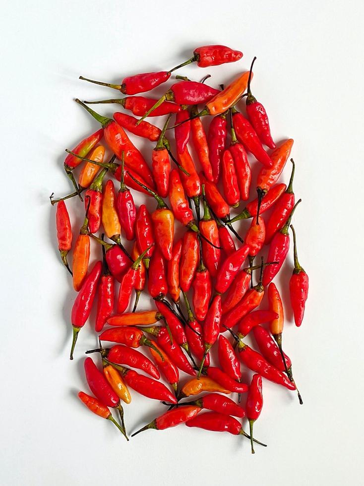 Indonesian local spicy red birds eye chilies with white background photo
