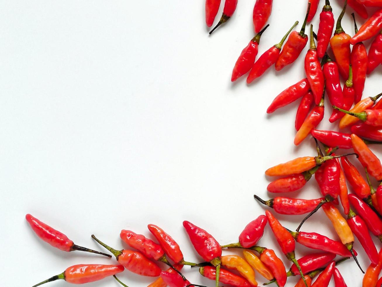 The red birds eye chilies in white background photo