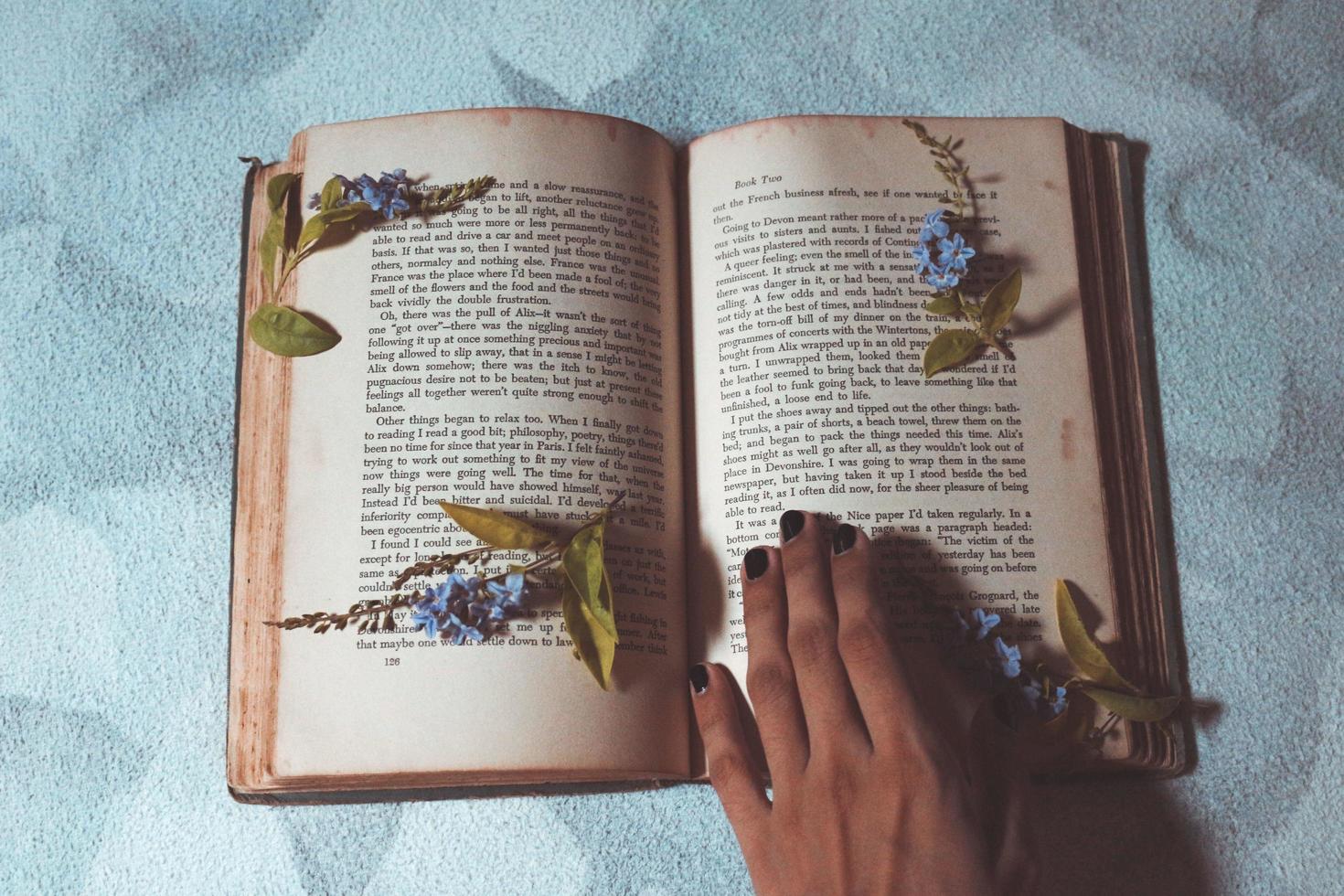 Tiny Purple Flowers In Old Vintage Book photo