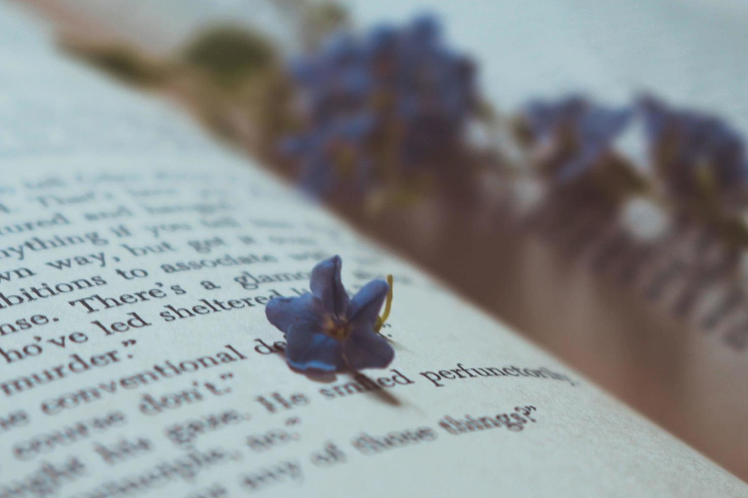 Tiny Purple Flowers In Old Vintage Book photo