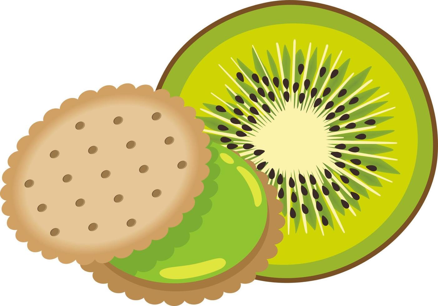Sandwich biscuit with kiwi cream vector