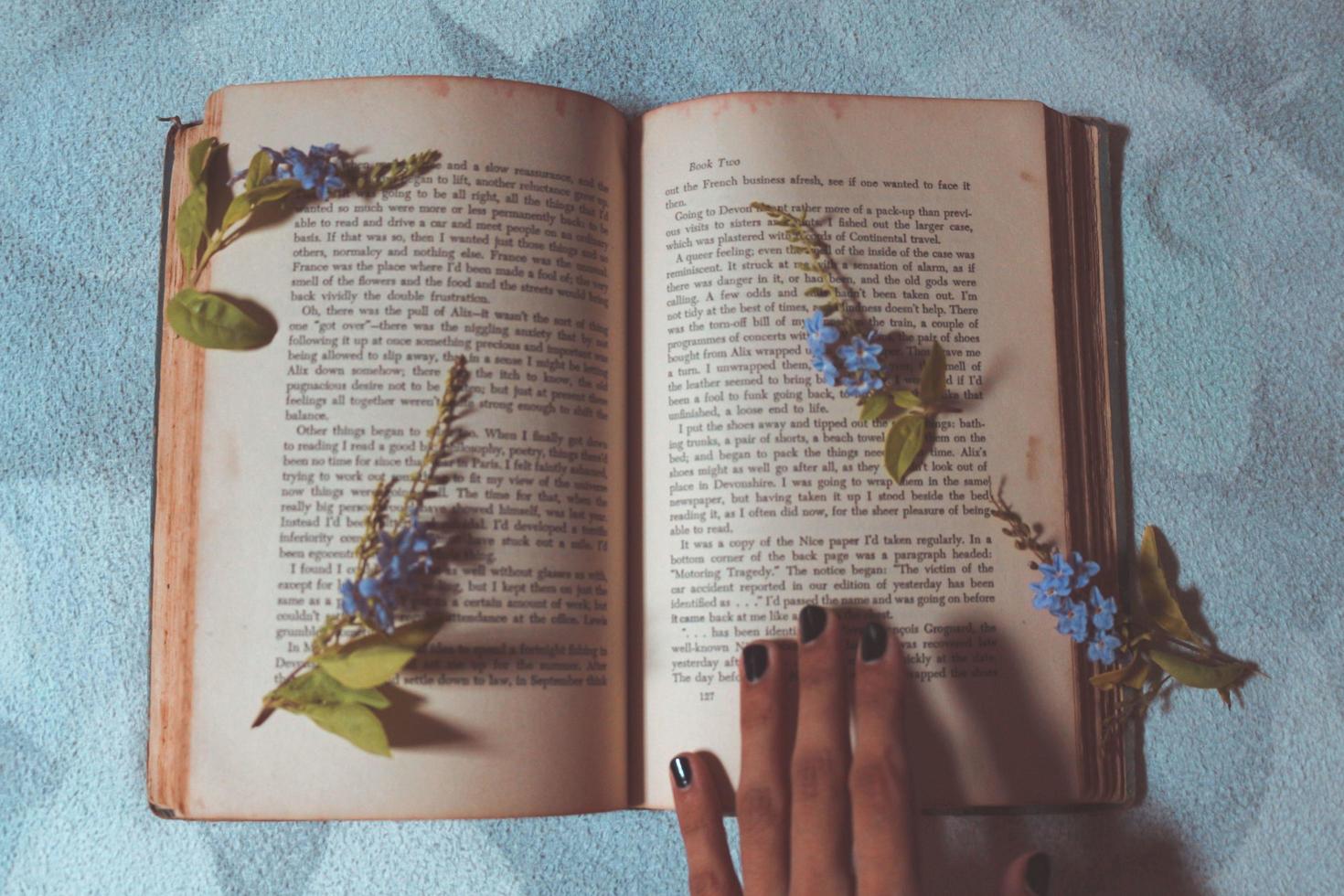 diminutas flores moradas en un viejo libro vintage foto