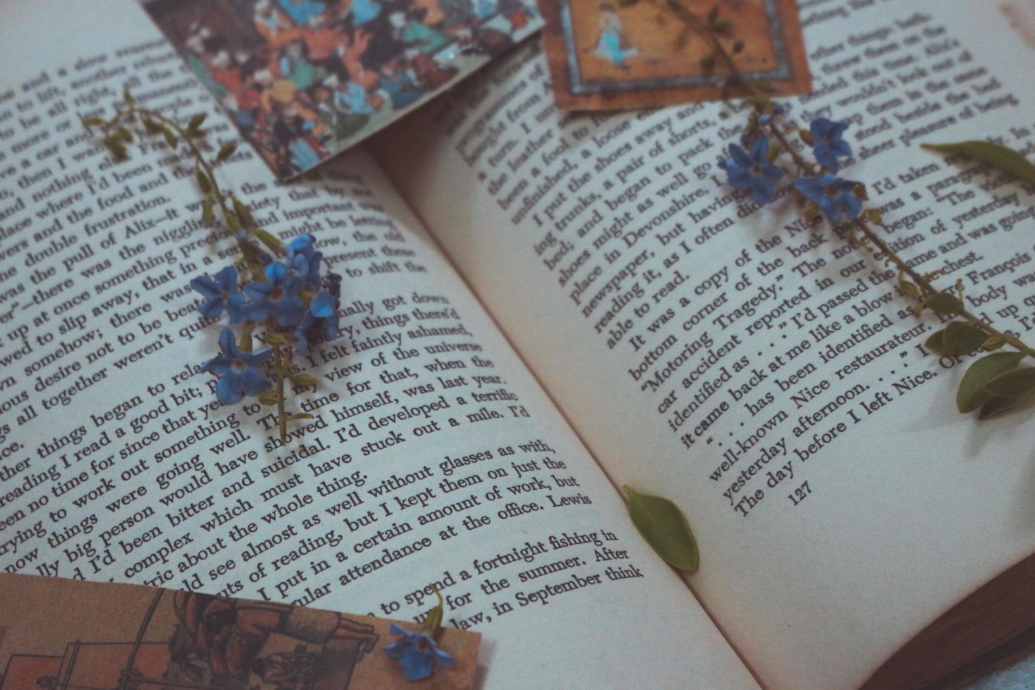 diminutas flores moradas en un viejo libro vintage foto