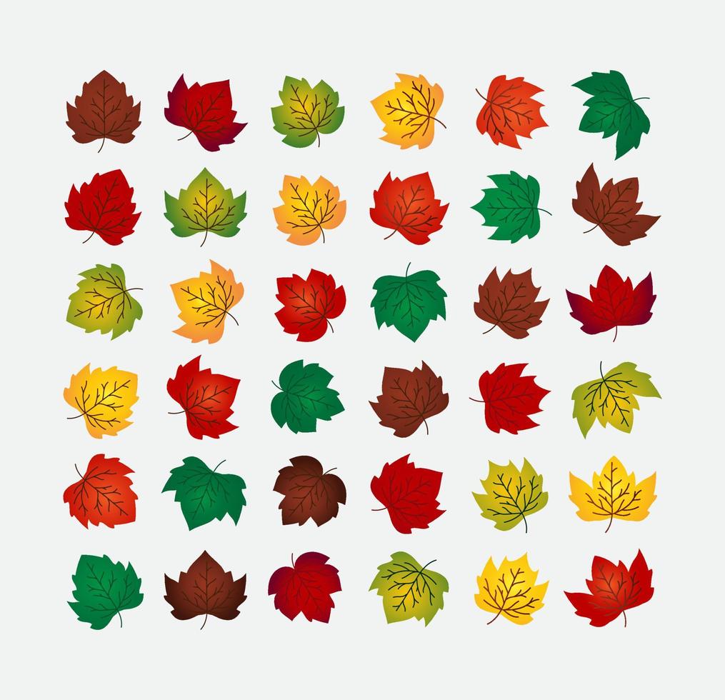 Set of autumn leaves vector