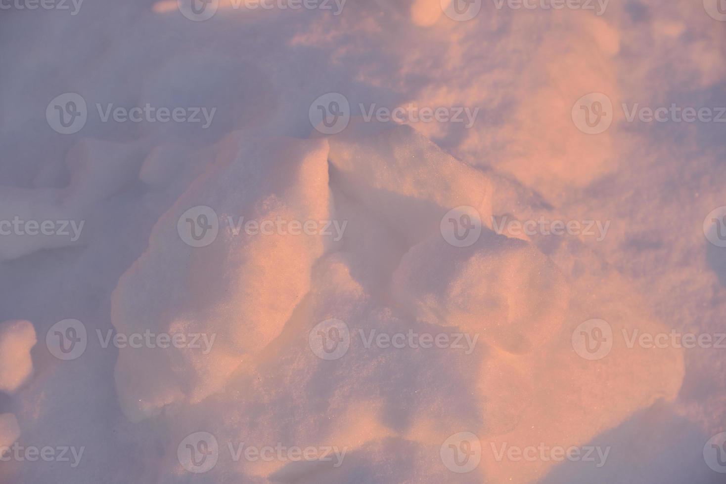 Pink snow winters in the light of the setting sun. Pink and blue winter fluffy snow in winter. A snowdrift in the rays of the setting sun. photo