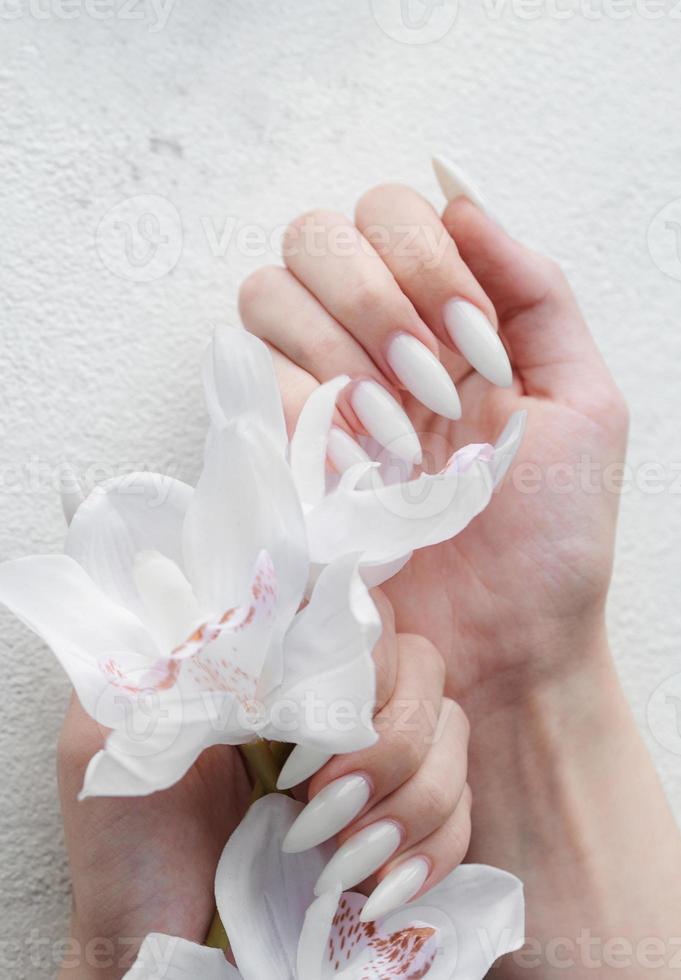 Hands of a young woman with white manicure on nails photo