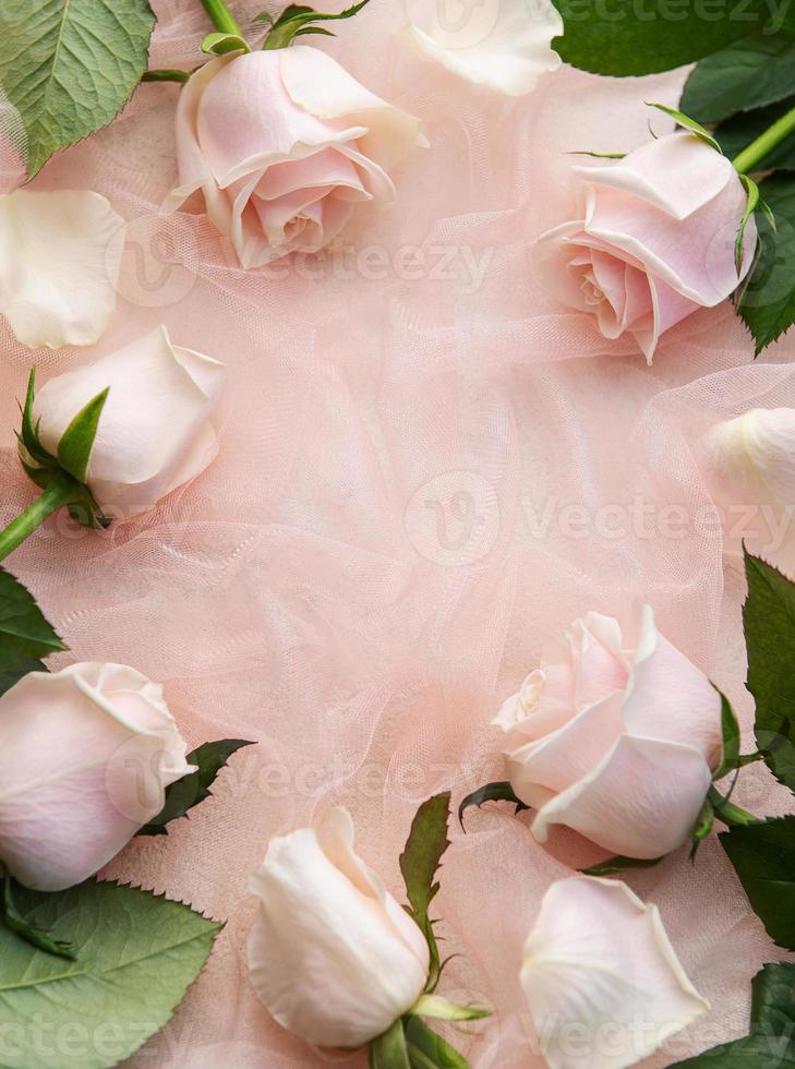 Top view of pink roses  on pink tulle background. photo