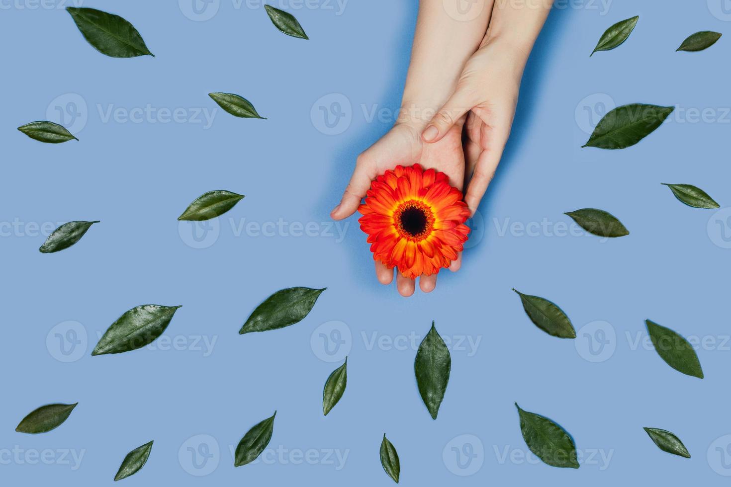 Greeting card with blue background. photo