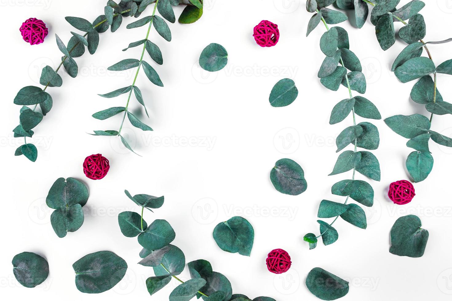 Beautiful sprigs of eucalyptus on white background, top view. photo