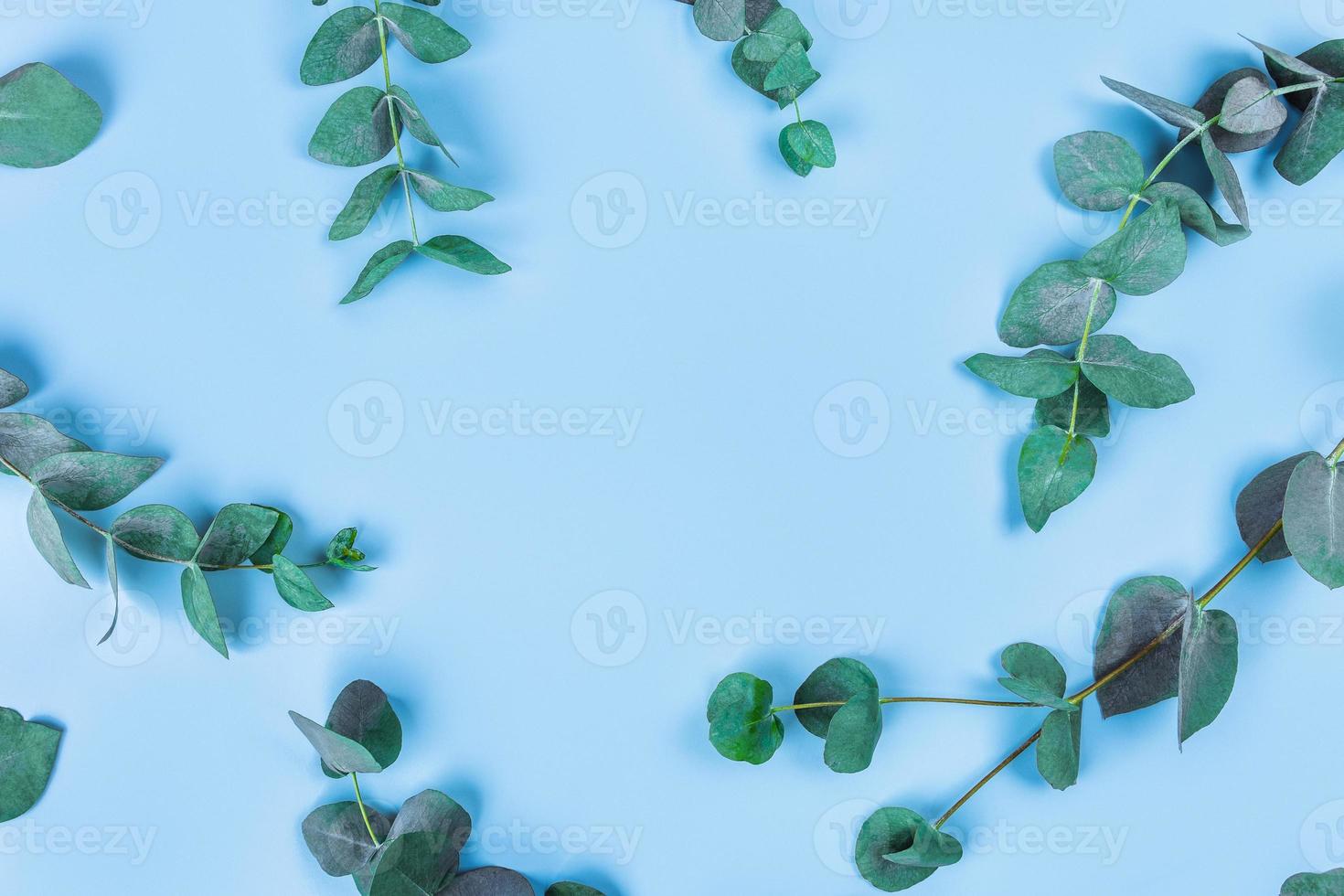 Beautiful sprigs of eucalyptus on blue background, top view. photo