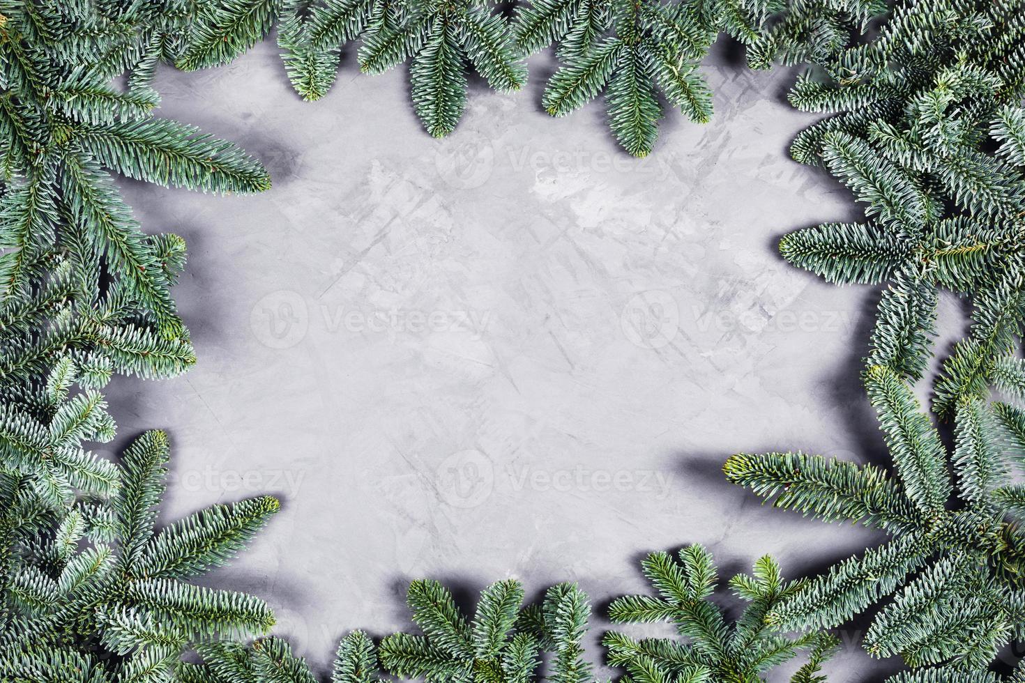 Christmas concrete background with fir tree. photo