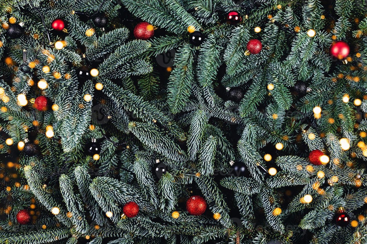 Christmas background with fir branches and red and black balls. photo