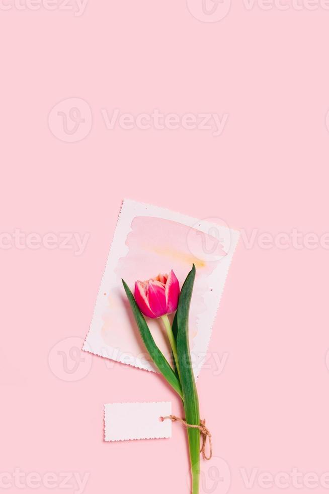 A greeting card on a pink background. photo