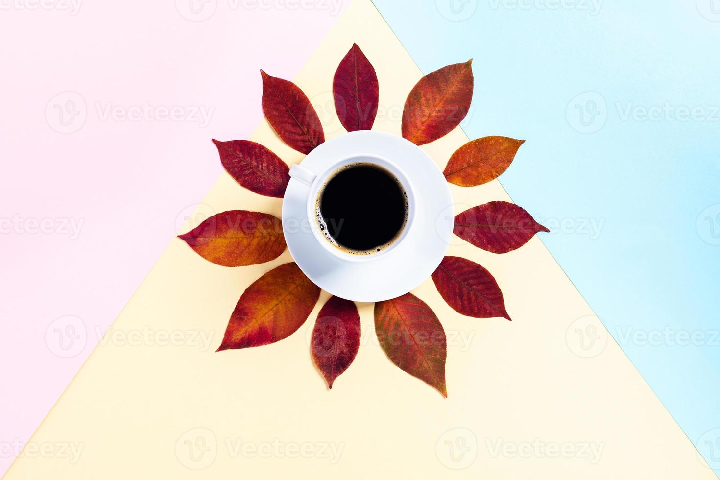 Morning autumn coffee in a white Cup on a tricolor background. photo