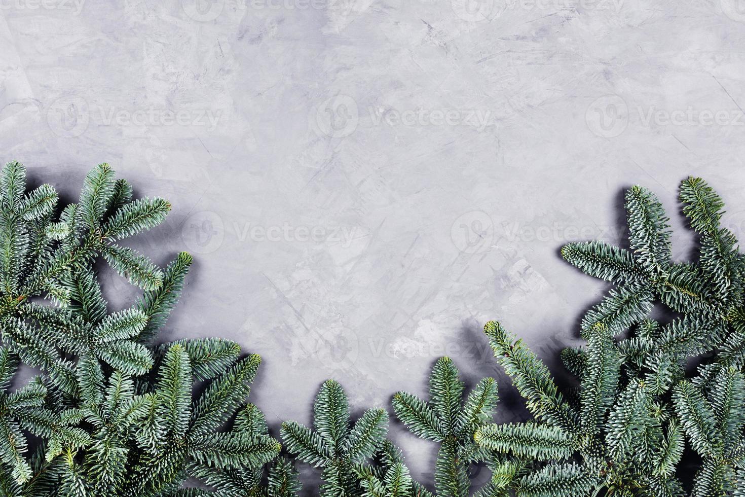 Christmas concrete background with fir tree. photo