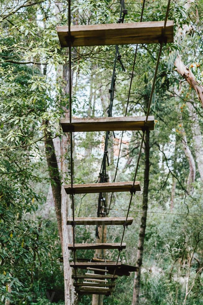 High ropes experience adventure tree park photo