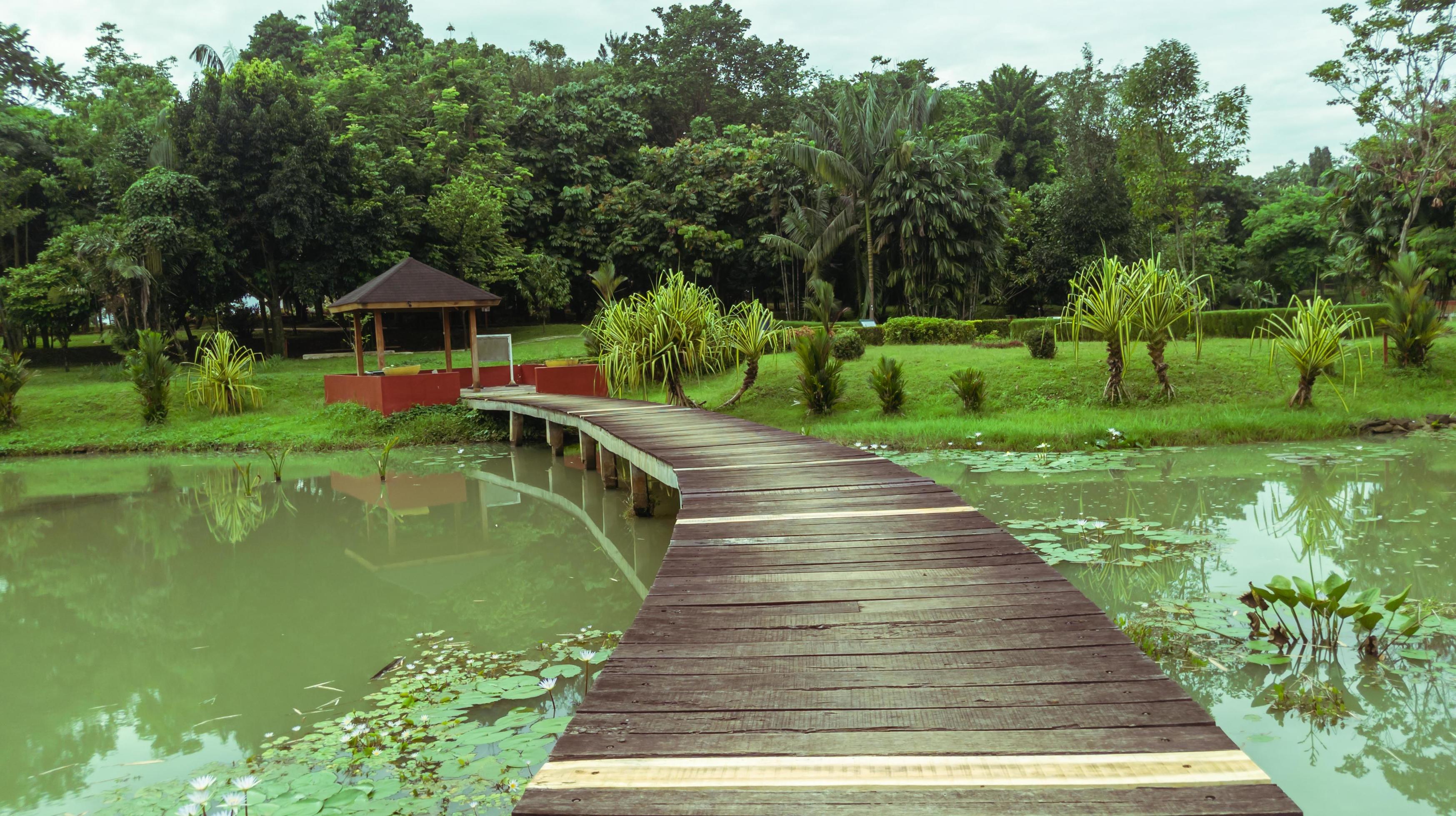 beautiful natural lanscape scenery, lake with wooden bridge, nature wallpaper, landscape background 15589644 Stock Photo at Vecteezy beautiful natural lanscape scenery, lake with wooden bridge, nature wallpaper, landscape background 15589644 Stock Photo at Vecteezy