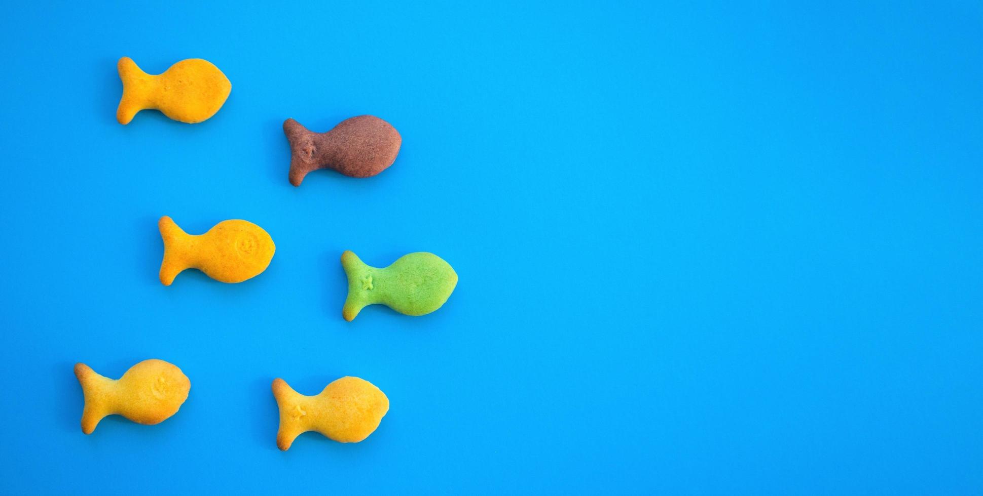 galletas de colores en forma de pez. copie el espacio para el texto. galletas sobre fondo azul. galletas de pescado comida divertida comida para niños. galletas saladas. foto