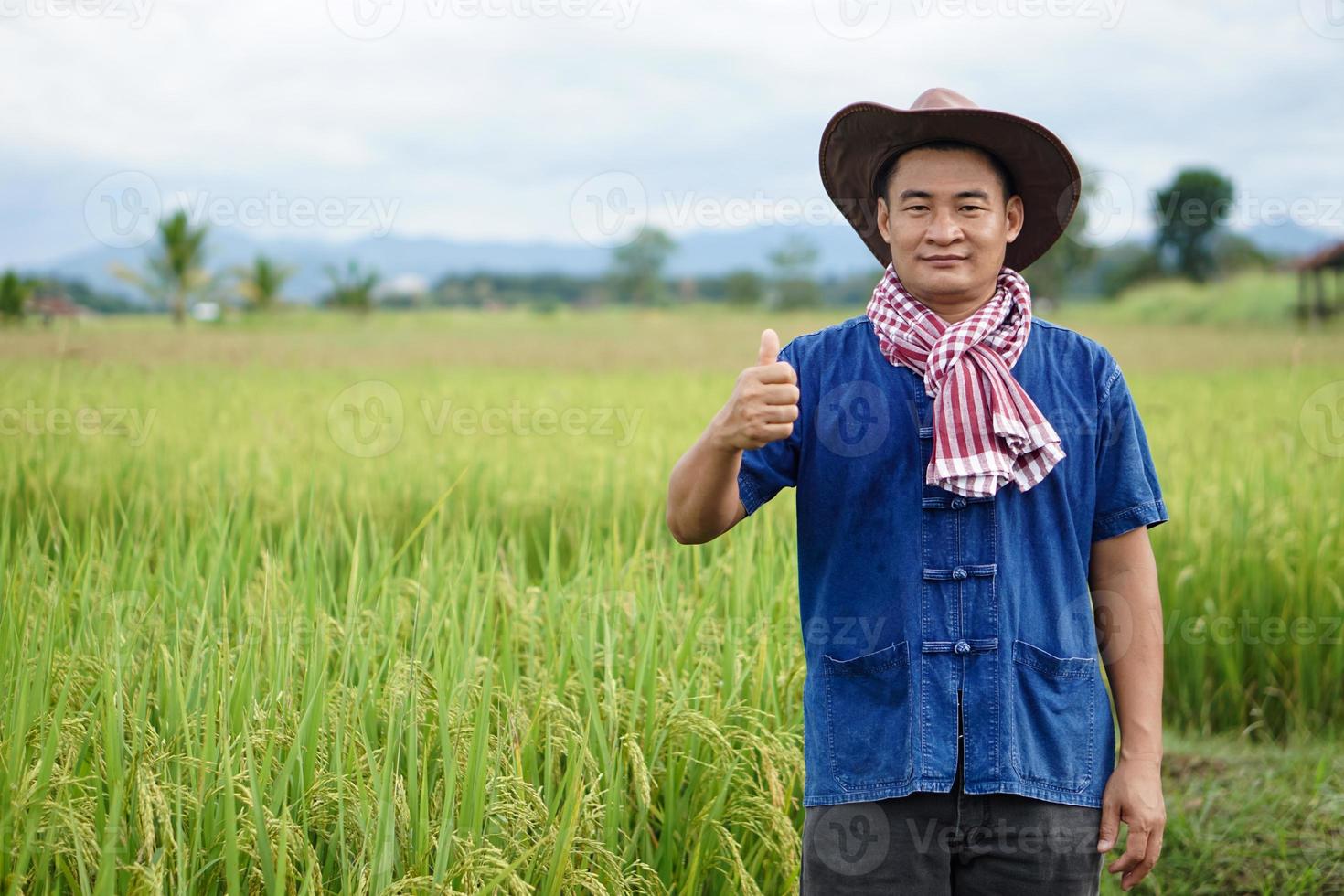 Portrait of Asian man farmer is at paddy field, wears hat, thumbs up. Concept, agriculture occupation, farmer grow organic rice. photo