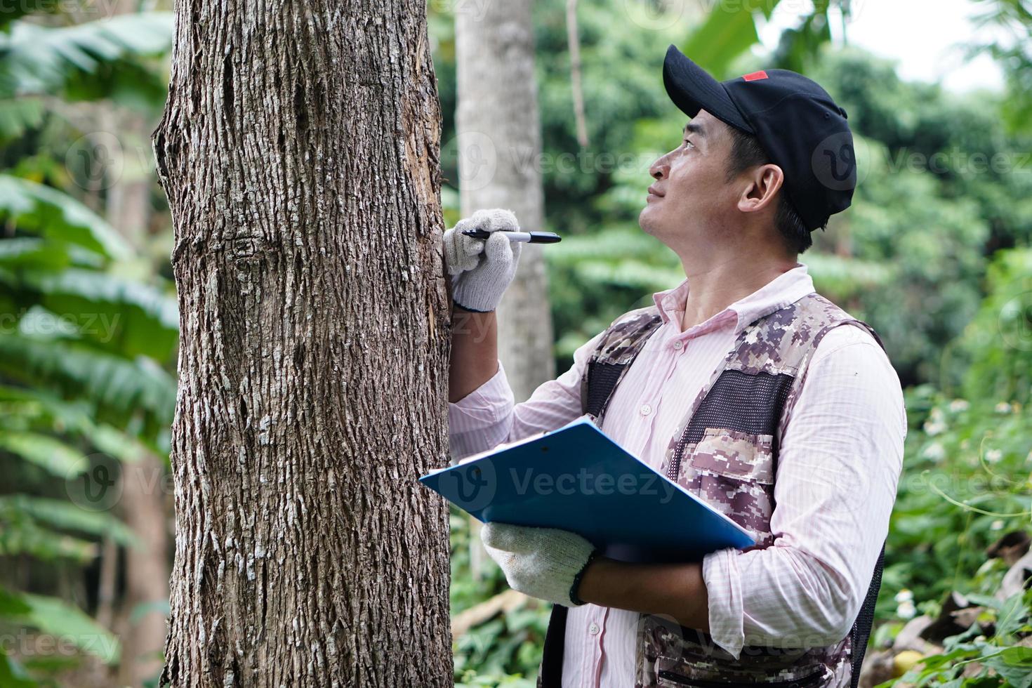 Asian male botanist is inspecting and recording about trunk of  tree information on paper clipboard. Concept , Survey ,research botanical plants. Forest and environment conservation. photo
