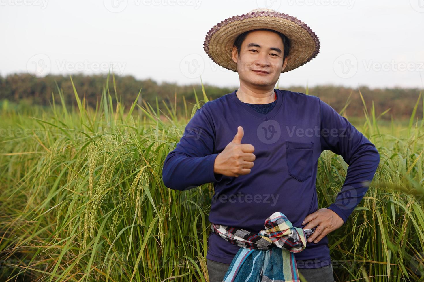 Handsome Asian man farmer wears hat, blue shirt, put hand on hip, thumbs up, stands at paddy field. Concept, agriculture occupation, farmer grow organic rice. photo
