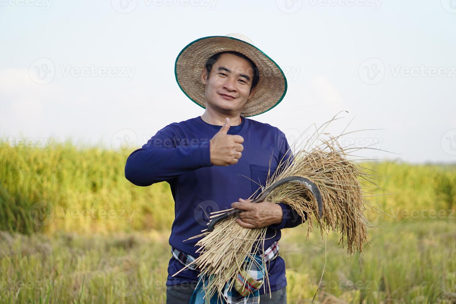 Handsome Asian male farmer wear hat, holds sickle and harvested rice plants at paddy field. Concept , Agriculture occupation. Farmer with organic rice. photo