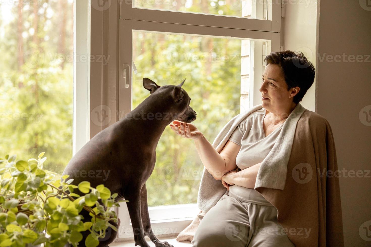 Middle age beautiful woman sitting on windowsill with her dog. 50-year-old woman spending time with her Mexican hairless dog at home. Xoloitzquintle, xolo breed. Dog as best friend, family member. photo