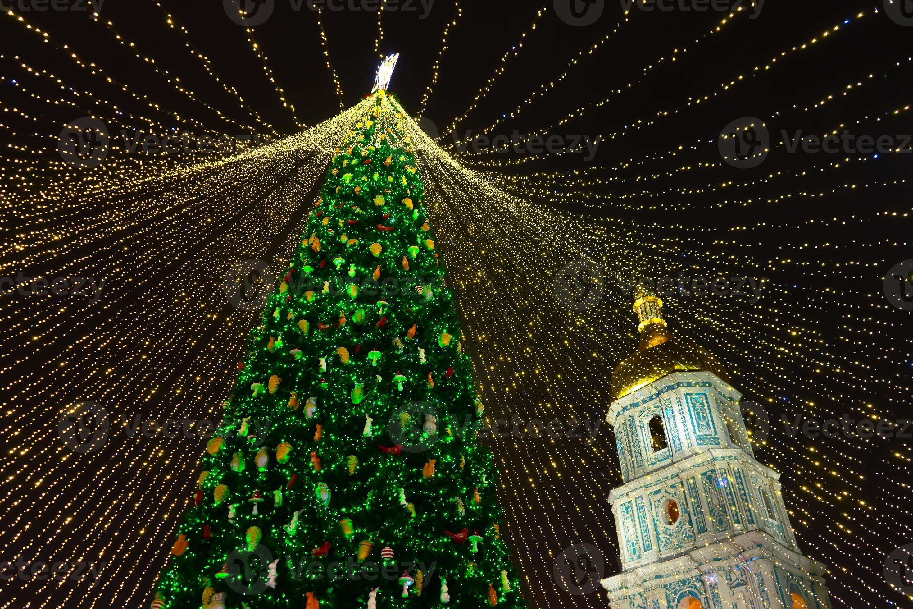 Christmas tree glows on the square in the city. Evening, night