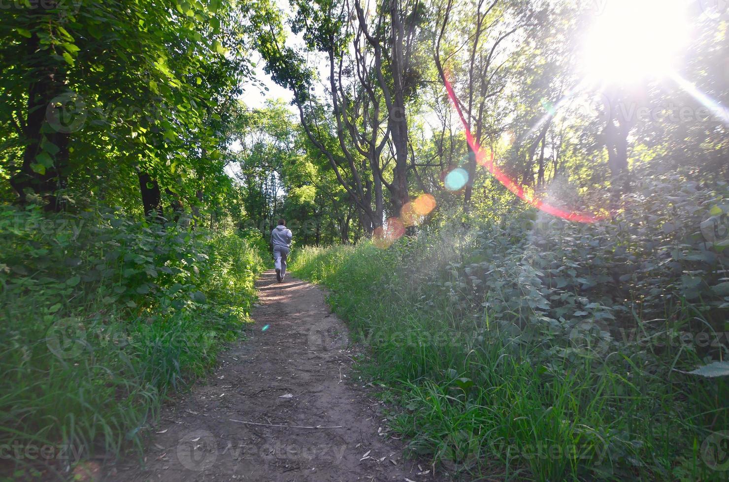 A young guy in a gray sports suit runs along the path among the photo